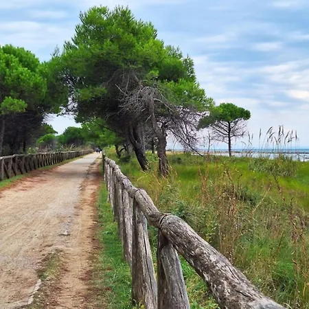 Modern Flat With Sea View